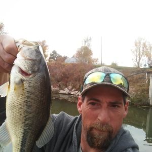 Meet your Posher, Dell